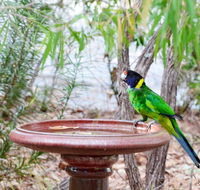 Caves Road Chalets - Hotel VIC