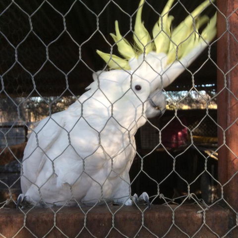 Corella Creek Country Farm Stay - Hotel VIC 3