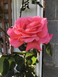 Book Mulgrave Accommodation Vacations Hotel VIC Hotel VIC