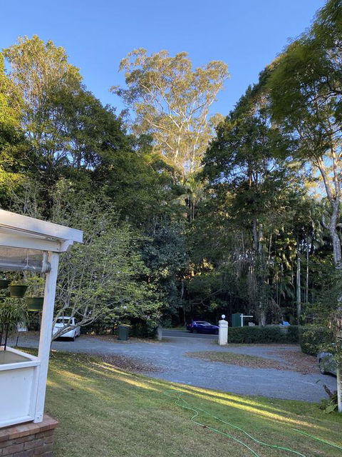 Curtis Falls Studio-Apartment - Hotel VIC 3