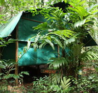 Daintree Crocodylus - Hotel VIC