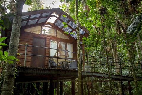 Daintree Wilderness Lodge - Hotel VIC 2