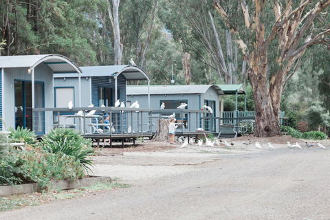 Eildon Pondage Holiday Park - Hotel VIC 3