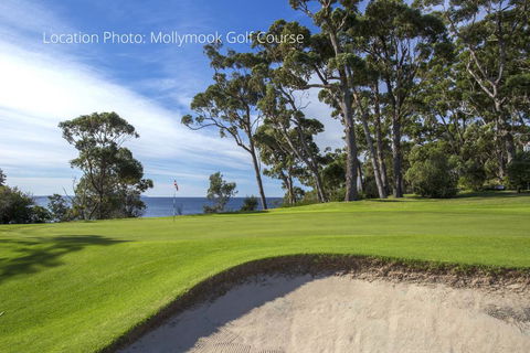 Fathoms 1 - Mollymook - Hotel VIC 1