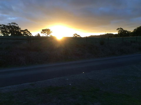 Forrest Willy Wagtail Studio - Hotel VIC 1