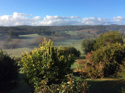 Forrest Willy Wagtail Studio - Hotel VIC 3