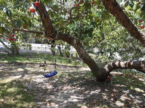 Frenchmans Folly - Hotel VIC 2