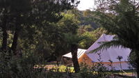 Book Zeehan Accommodation Vacations Hotel VIC Hotel VIC