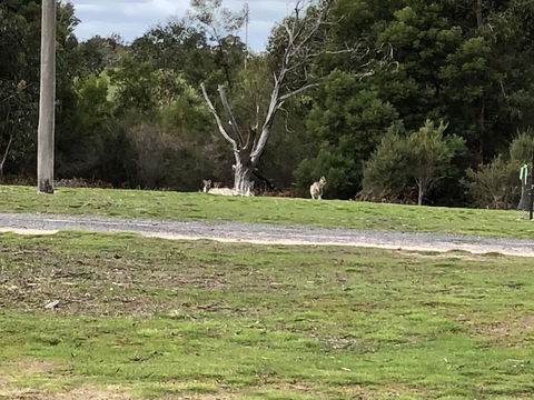 Grampians Old Man Emu Stay - Hotel VIC 3