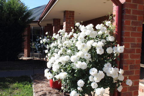 Gundaroo Manor Bed & Breakfast - Hotel VIC 3
