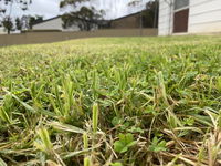 Book Karoonda Accommodation Vacations Hotel VIC Hotel VIC