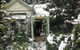 Lemon Tree Cottage - thumb 3