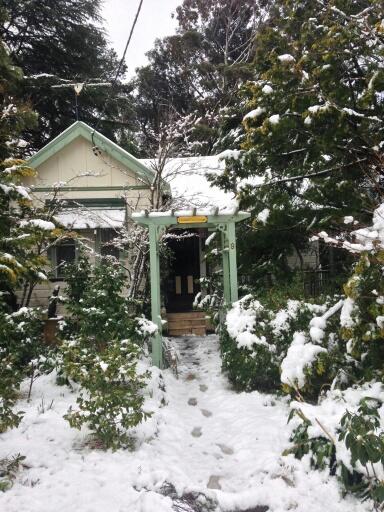 Lemon Tree Cottage - Hotel VIC 3
