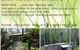 Mistinthegumtrees Eco Luxury Cabins - thumb 3