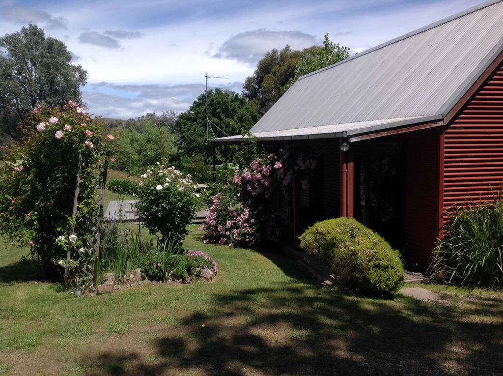 Piries VIC Hotel VIC