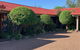 Muswellbrook Motor Inn - thumb 0