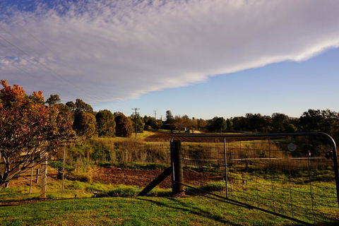 Muswellbrook Northside B&B - Hotel VIC 3
