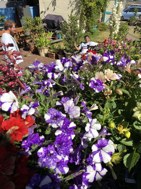 1849 Backpackers Albany - Hotel VIC 15