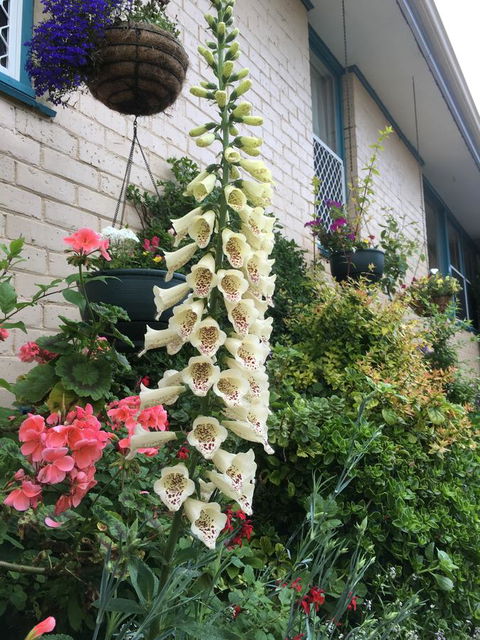 1849 Backpackers Albany - Hotel VIC 32