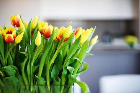 Claremont Quarter Luxury Apartment - Hotel VIC 11