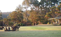 Book Walpole Accommodation Vacations Hotel VIC Hotel VIC