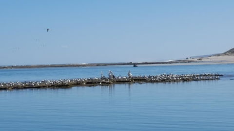 Kalbarri Seaview Villas - Hotel VIC 33