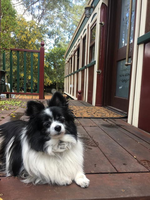 Quiet Escapes Cottages - Hotel VIC 15