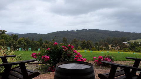 Karri Aura - Hotel VIC 3