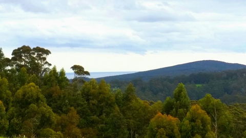 Karri Aura - Hotel VIC 10