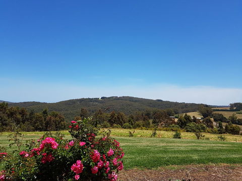 Karri Aura - Hotel VIC 9