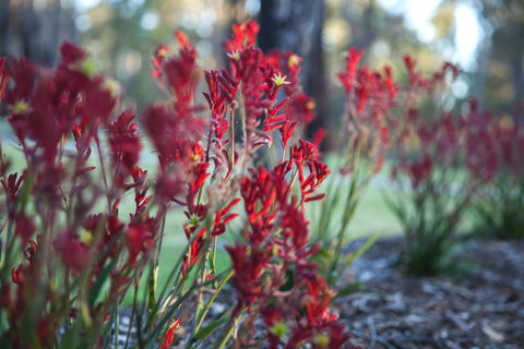 Amaroo Retreat & Spa - Hotel VIC 16