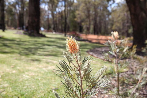 Amaroo Retreat & Spa - Hotel VIC 19