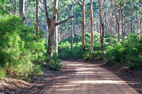Margaret River Retreat - Hotel VIC 20