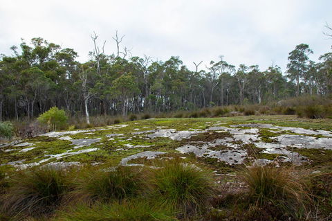 Denmark Forest Retreat - Hotel VIC 26