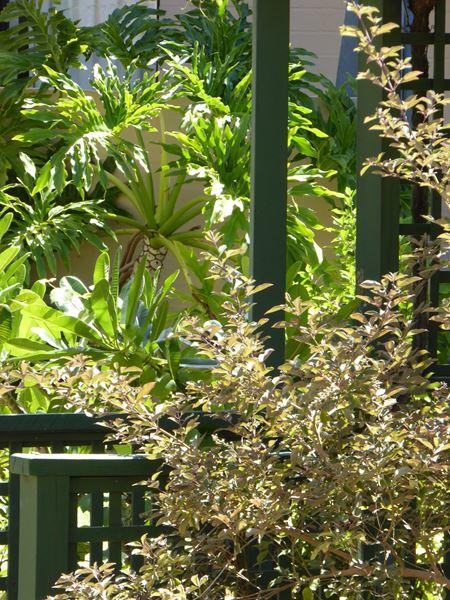 Kalbarri Beach Resort - Hotel VIC 32