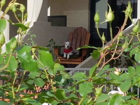 Como Executive Apartment - Hotel VIC 17