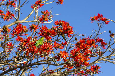 Como Executive Apartment - Hotel VIC 19