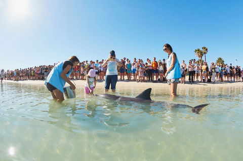 RAC Monkey Mia Dolphin Resort - Hotel VIC 2