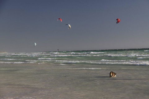 Dongara Tourist Park - Hotel VIC 33
