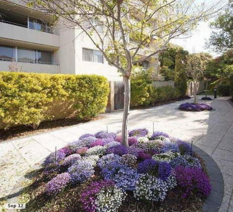 Retro Central Claremont Oasis - Hotel VIC 0