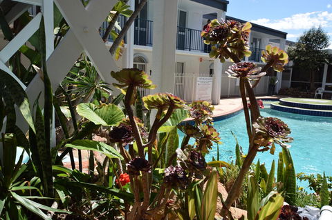 West Beach Lagoon 213 - Corner Unit! - Hotel VIC 12