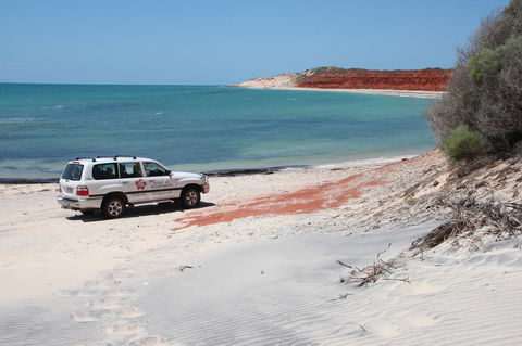 Wildsights Villas - Hotel VIC 12