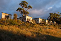 Book Swansea Accommodation Vacations Hotel VIC Hotel VIC