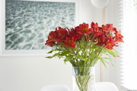 Book Kingston Beach Accommodation Vacations Hotel VIC Hotel VIC