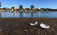 Swansea Holiday Park Tasmania - thumb 39