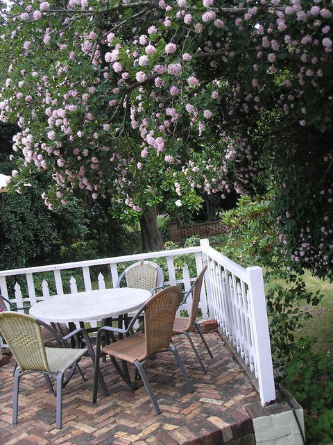 Anabel\'s Of Scottsdale - Hotel VIC 33