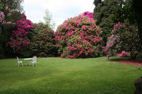 Anabel\'s Of Scottsdale - Hotel VIC 39