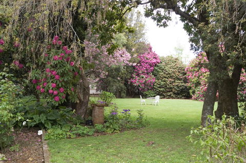 Anabel\'s Of Scottsdale - Hotel VIC 35