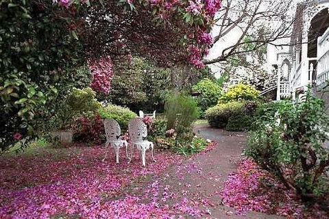 Anabel\'s Of Scottsdale - Hotel VIC 36