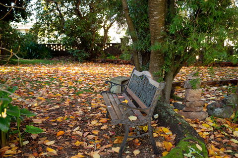 Anabel\'s Of Scottsdale - Hotel VIC 38